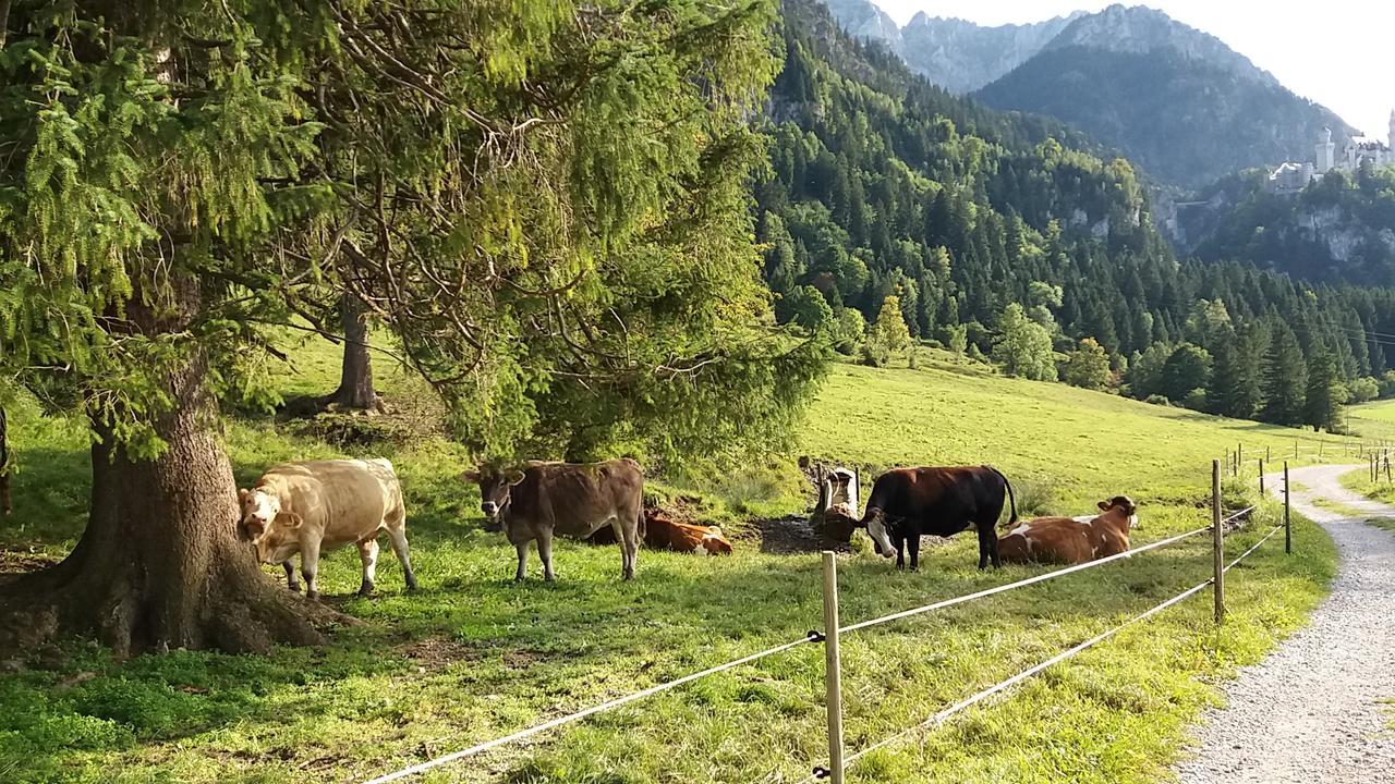 Hotel Kleiner Koenig Schwangau Eksteriør billede